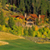 log home project 51