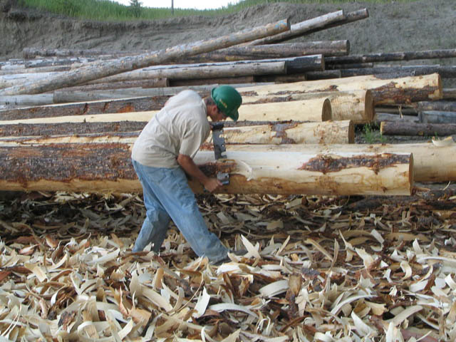 things to make from 8 foot peeler logs