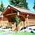 log home project 15