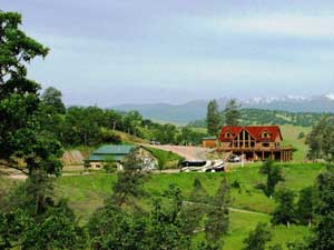 Ranch log home